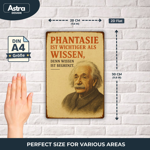 Albert Einstein Phantasie Blechschild - 20x30cm