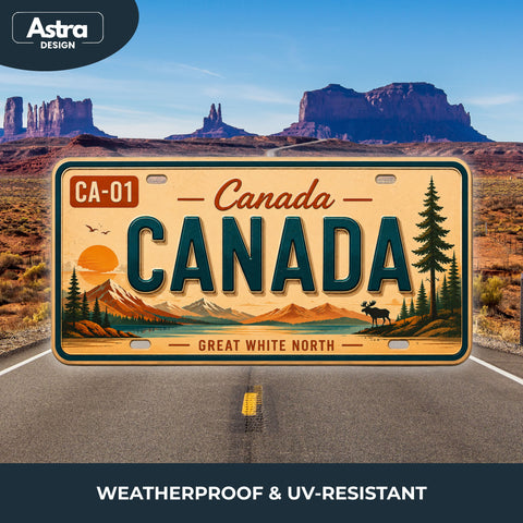 Blechschild 15x30cm – Canada Great White North Retro USA Nummernschild
