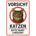 Vorsicht Katzen Blechschild